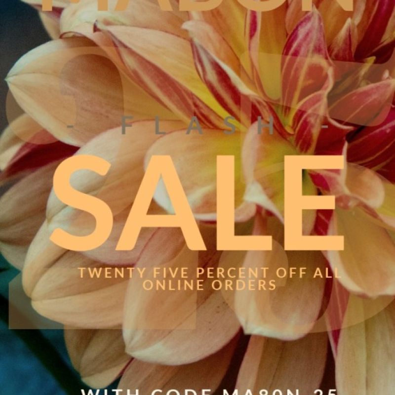 Mabon Flash Sale 25% Off Handcraftec Metaphysical Jewellery with Autumn Floral Background - Limited Time Offer